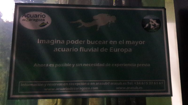 Kontakt na potápanie v sladkovodnom akváriu (Acuario de Zaragoza)