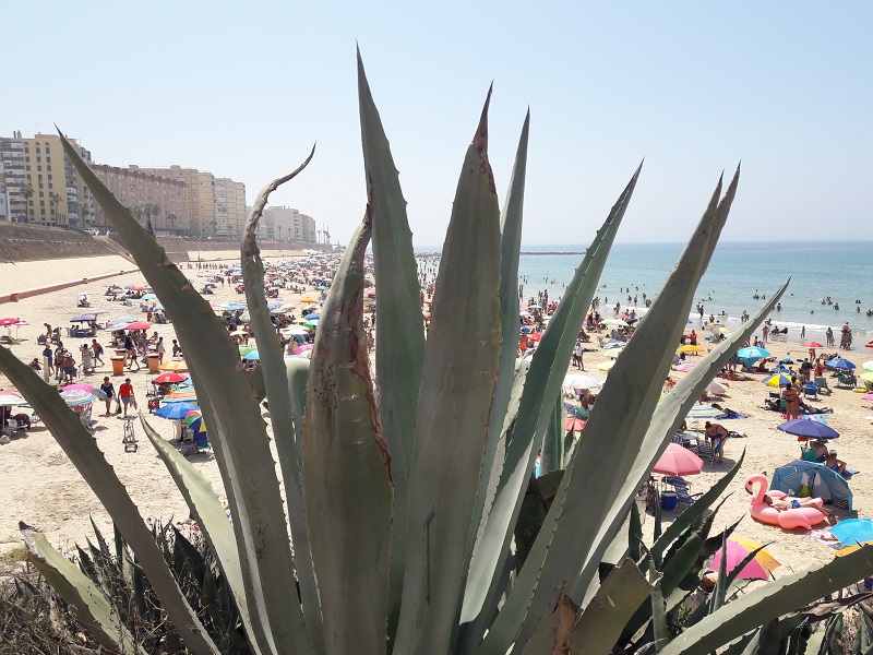 Playa Santa María del Mar