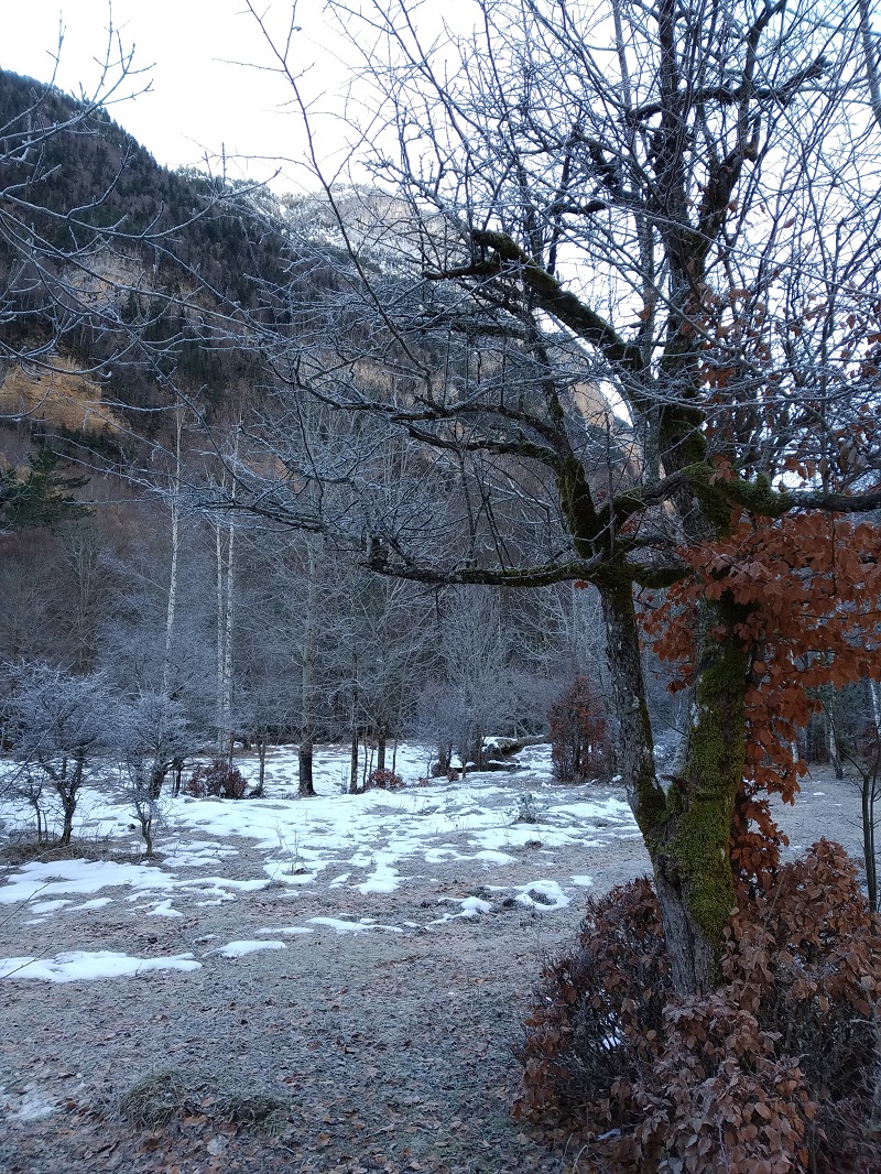 Príroda Pyrenejí