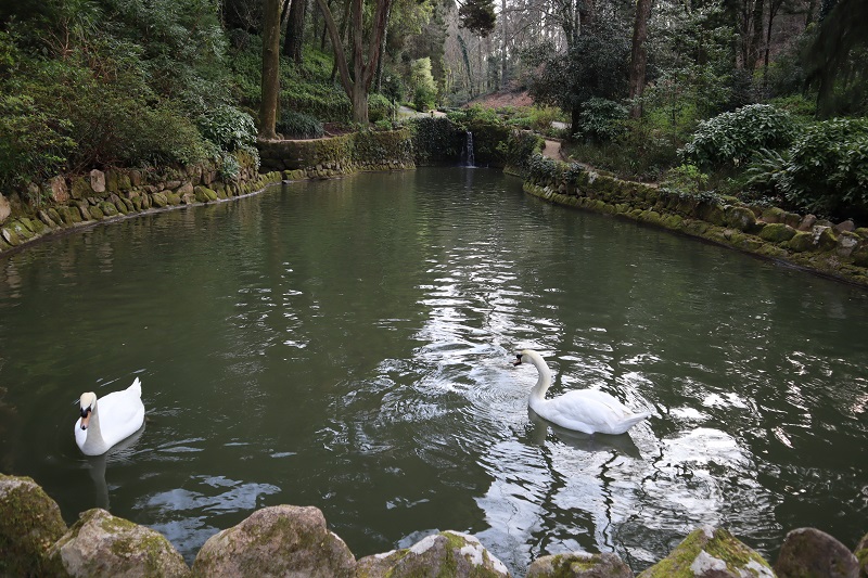 Udržiavané jazierka v parku Parque da Pena Sintra